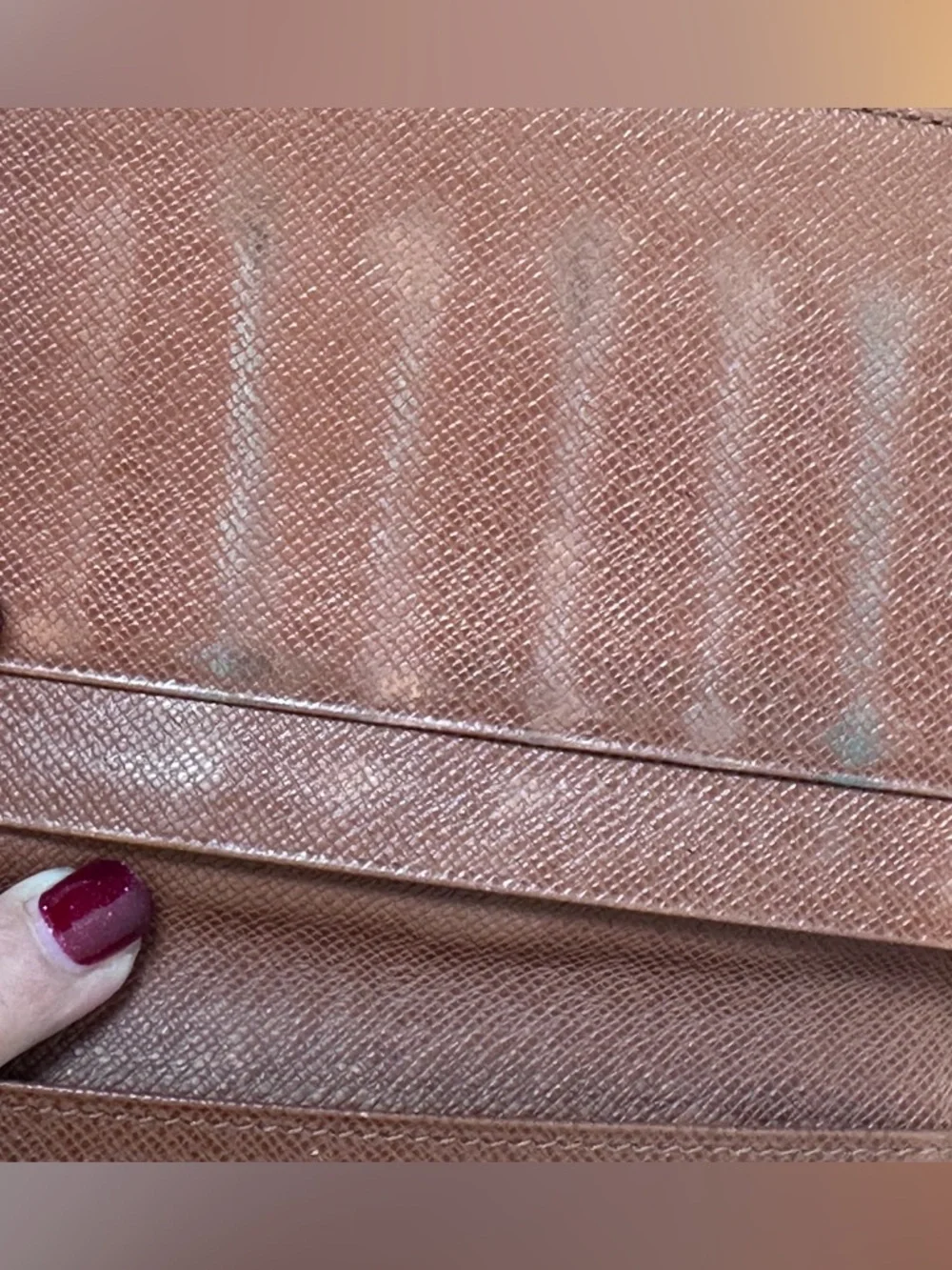 Louis Vuitton Monogram Wallet